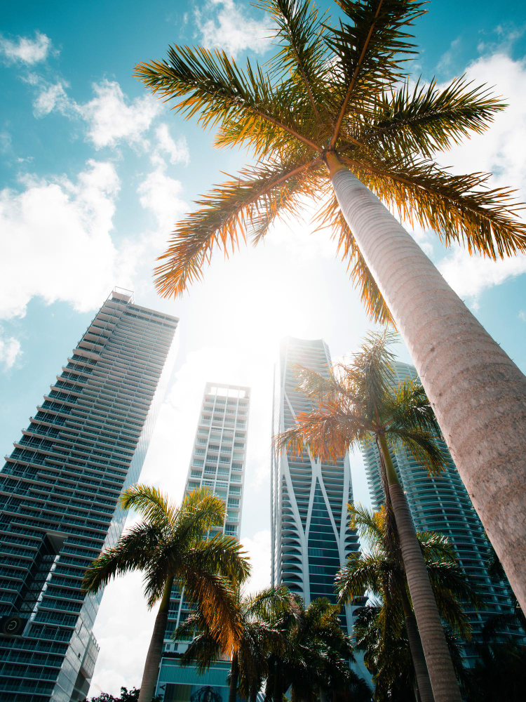 Miami downtown skyline with luxury high-rise condominiums and palm trees, Florida real estate